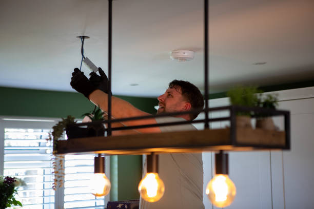 Best Electric Panel Repair  in Camdenton, MO